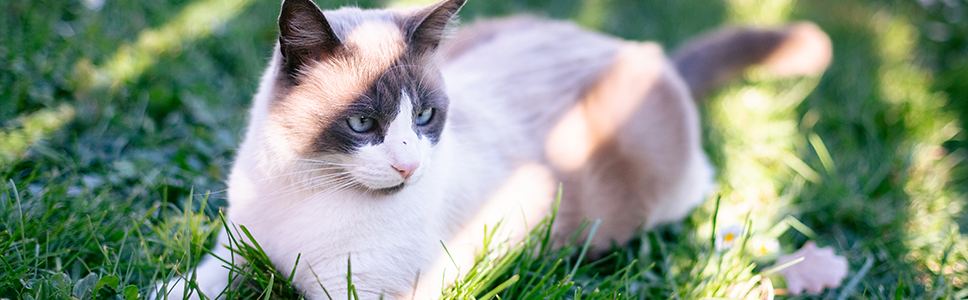 Zu Ihrer Information: